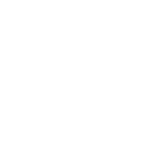 icon empresa B Certificada v2.png